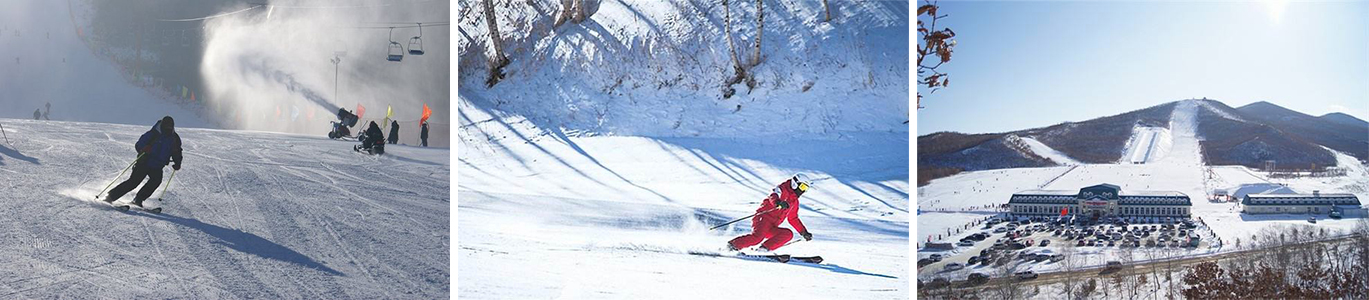 1629187096654532.jpg 7.jpg